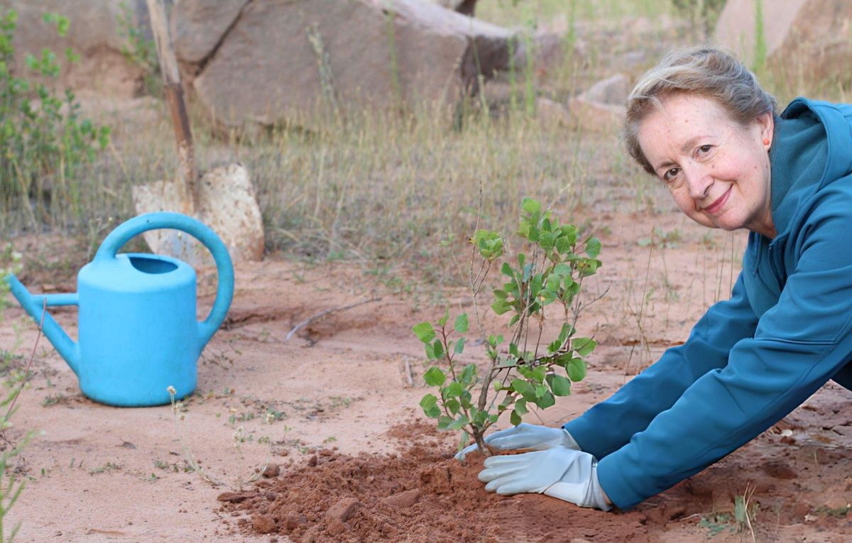 Safari-Linked Conservation